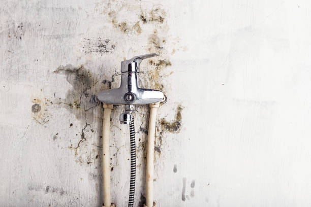 Best Mold Testing  in Bloomingburg, OH