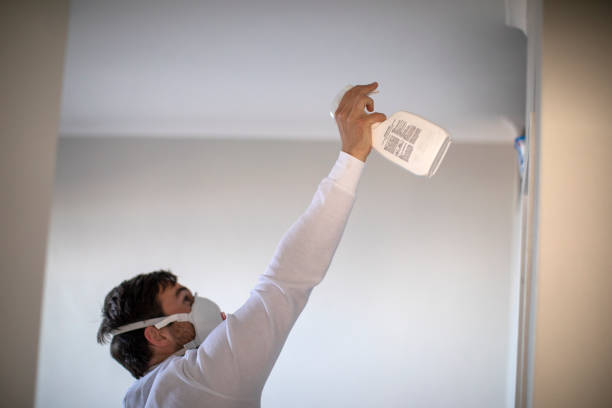 Best Fast Mold Removal  in Bloomingburg, OH