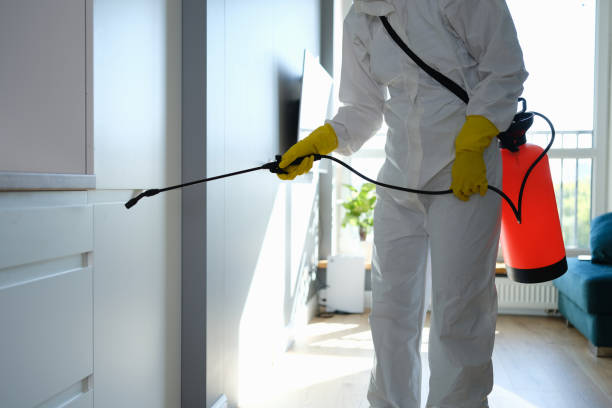 Office Mold Removal Services in Bloomingburg, OH