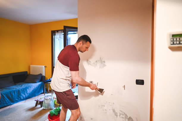 Best Mold Removal Company Near Me  in Bloomingburg, OH